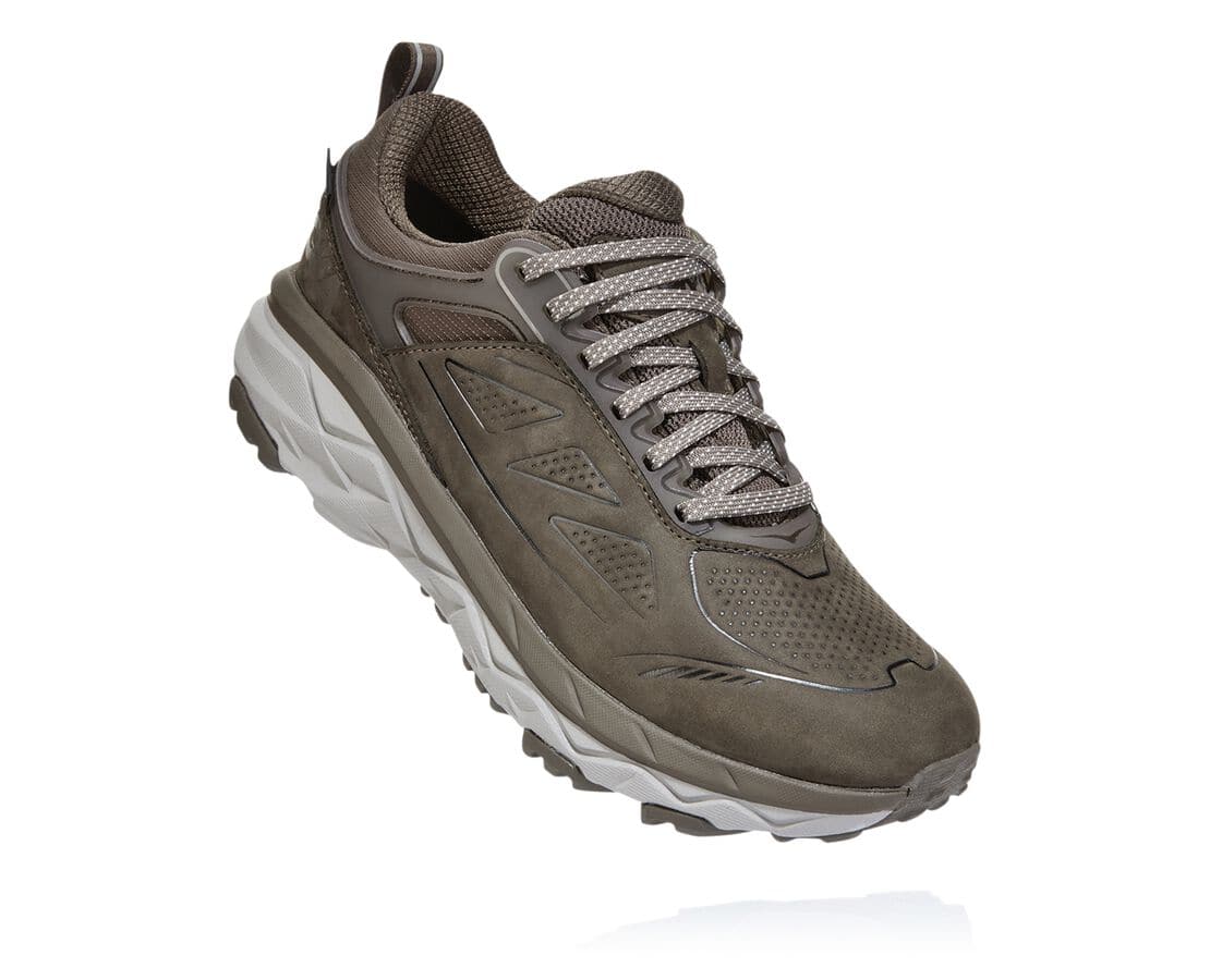 Hoka One One Challenger Low Gore-Tex South Africa - Womens Wide Running Shoes - Brown,SFBPL-6178